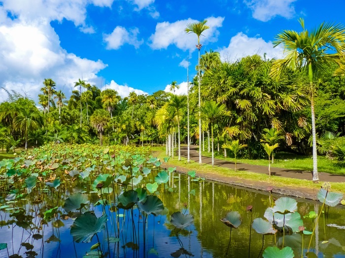 Comment bien préparer son séjour à l'Île Maurice ?