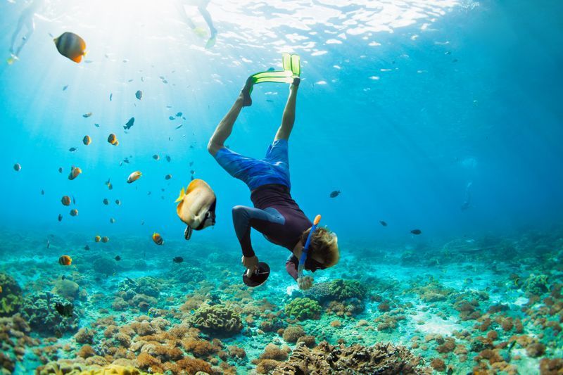 Snorkeling à Nusa Lembongan