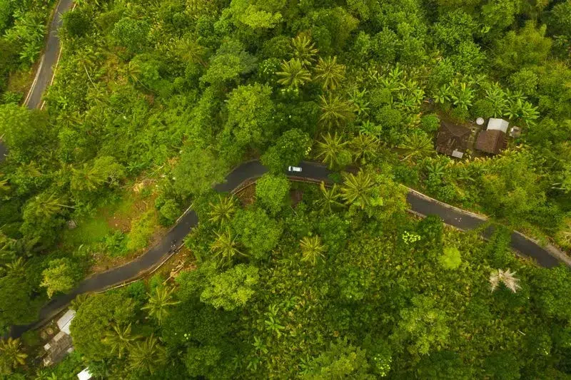 Voiture à Bali