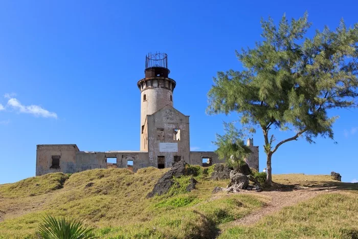 Explorer l’île aux Aigrettes : ce qu'il faut savoir