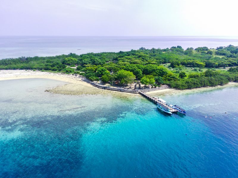 Menjangan à Bali