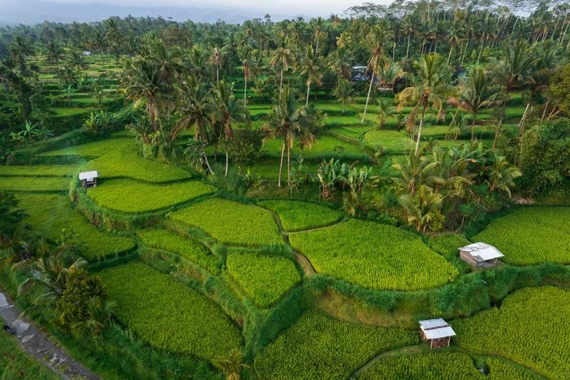 Tetebatu à Lombok