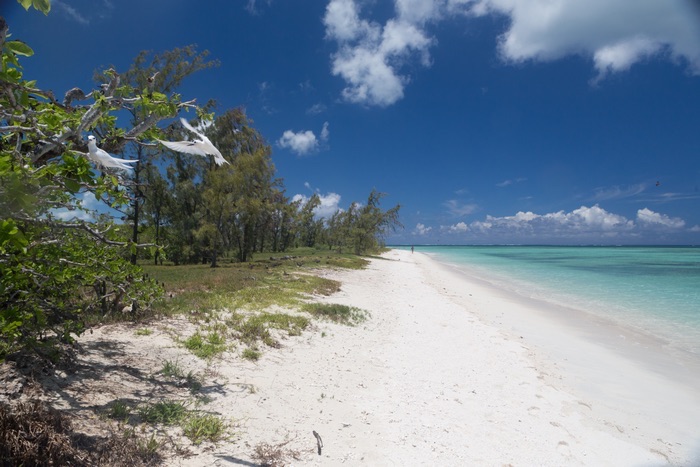 Île des Deux Cocos : mon escapade sur une île secrète 