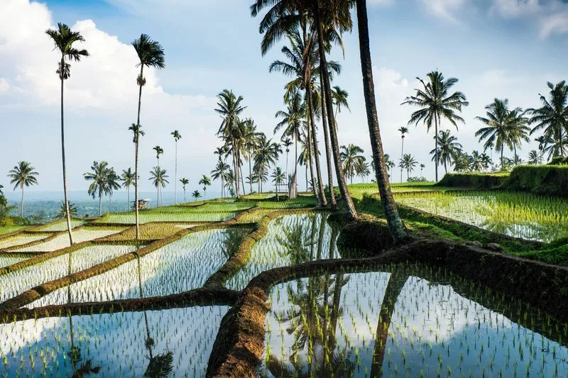 Senaru à Lombok