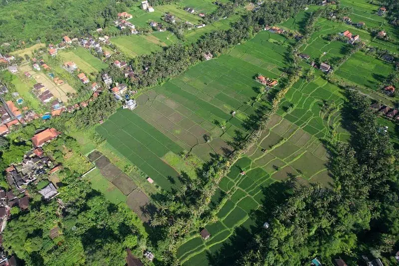 Subak Juwuk Manis