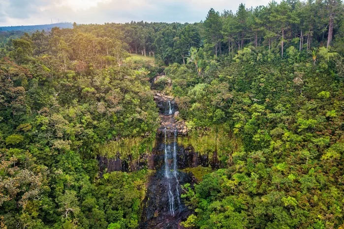Alexandra Falls