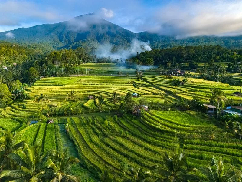 Jatiluwih - Randonnée à Bali