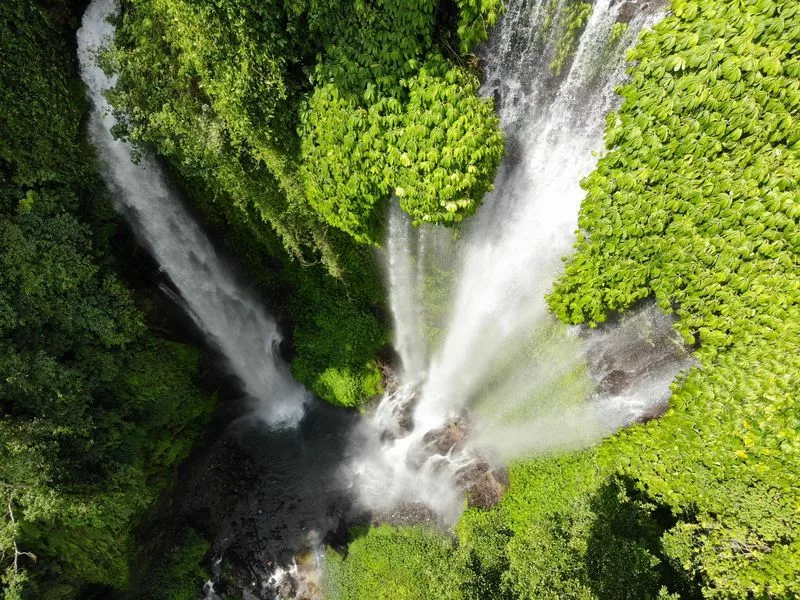 Cascade  Sekumpul Bali