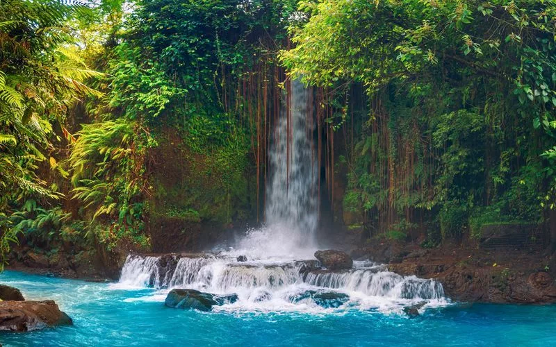 Cascade Fiji à Bali