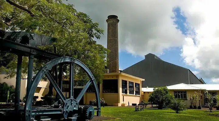 Jardin botanique de Pamplemousse : une parenthèse nature à l’île Maurice