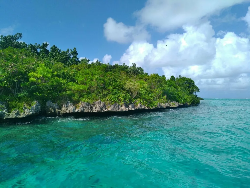 Explorer l’île aux Aigrettes : ce qu'il faut savoir