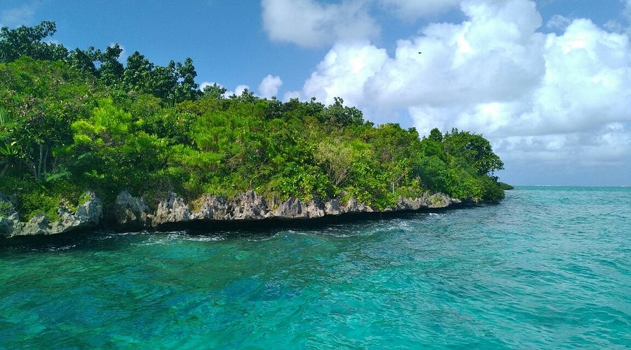 île aux Aigrettes 