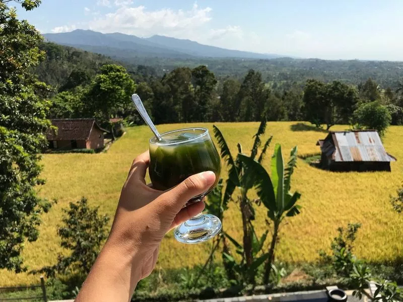 Mandhasativa Homestay