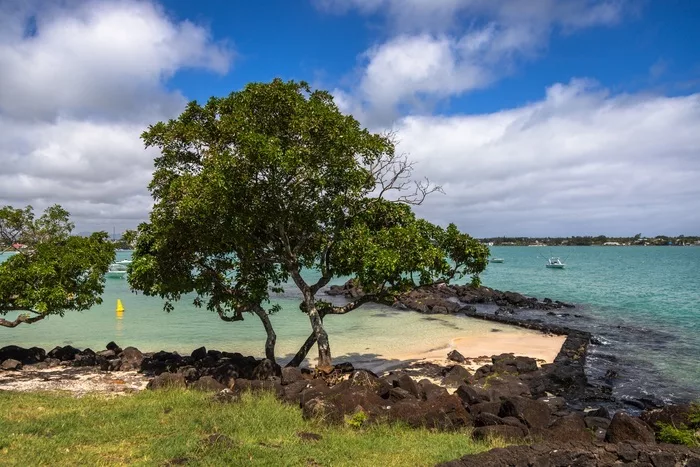 Snorkeling Île Maurice : les plus beaux spots à découvrir