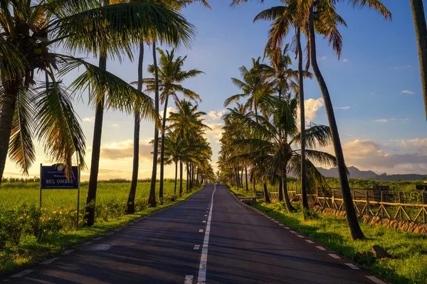 Route Île Maurice