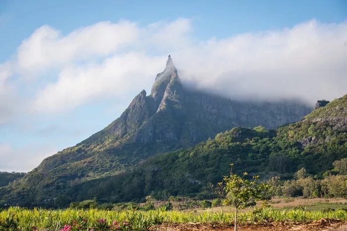 Moka Île Maurice : Mon aventure entre nature et culture